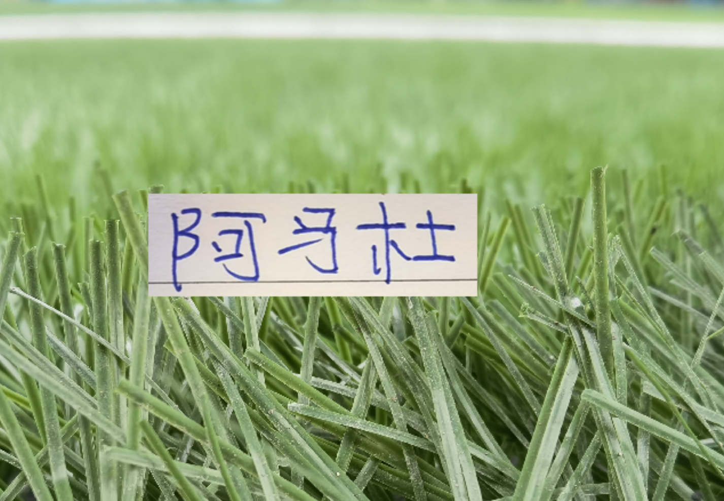kaiyun平台-想不到！连阿马杜离开申花 都引起争议 期待他在重庆穿10号表现吗